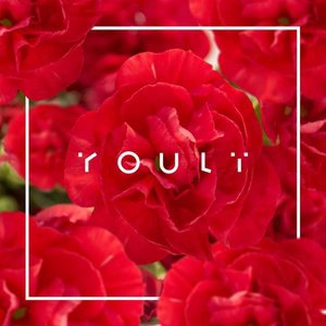 Horányi Juli YOULÏ 1