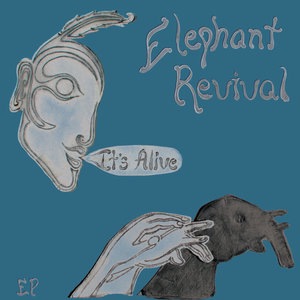 Elephant Revival 2