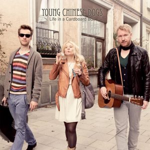 Young Chinese Dogs 3