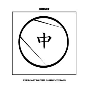 Insight 6