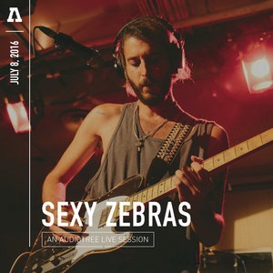 Sexy Zebras 2