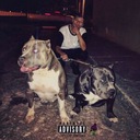 Sarcasmo, Interesses & Ilusões