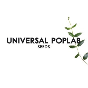 Universal Poplab 6