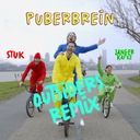 Puberbrein