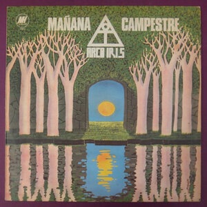 Sudamérica o regreso a la aurora