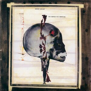 Discussions in the Cave