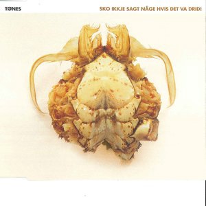 Sko Ikkje Sagt Någe Hvis Det Va Drid!