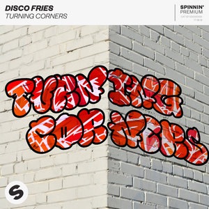 Disco Fries 6