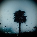 Like a Shooting Star