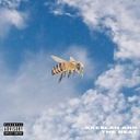 Akeelah and The Beat