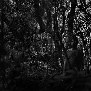 El Descenso de los Voladores