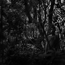 El Descenso de los Voladores