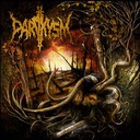 addiction to illusion