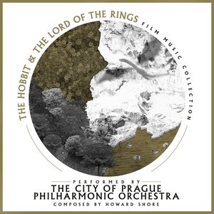 The City of Prague Philharmonic Orchestra 12