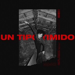 Io non ho niente da dire