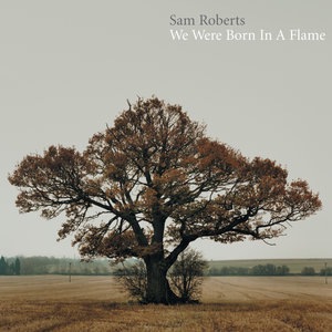 Sam Roberts 6