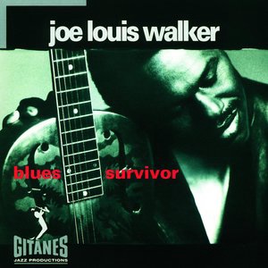 Joe Louis Walker 2