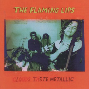 The Flaming Lips 19