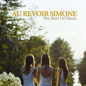 Au Revoir Simone 2