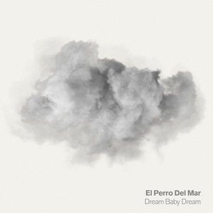 El Perro Del Mar 4