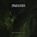 Will Dawn Rise Again