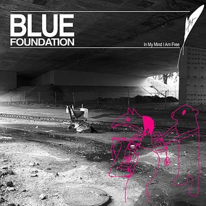 Blue Foundation 7