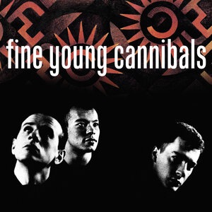 Fine Young Cannibals 5