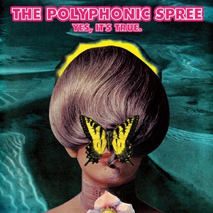 The Polyphonic Spree 14