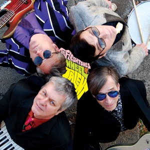 The Fleshtones 3