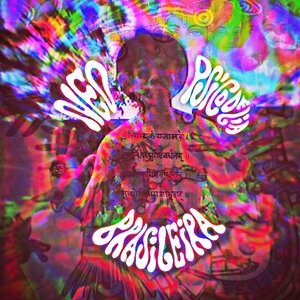 Museu de Arte Moderna