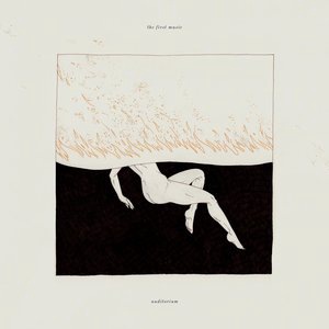 Did Your Heart Shake Like This Song?