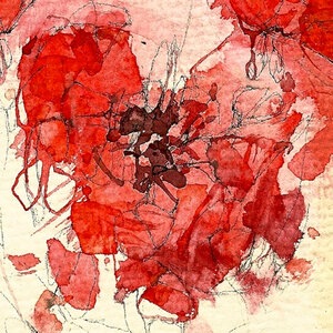 Alias Chamber Ensemble 1