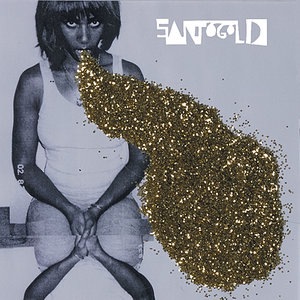 Santigold 11