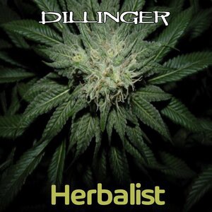 Dillinger 7