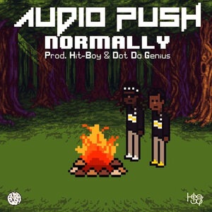 Audio Push 20