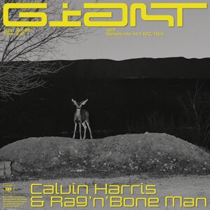 Calvin Harris 27