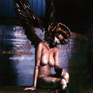 In Strict Confidence 5