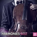 The Shrine of St. Cecilia