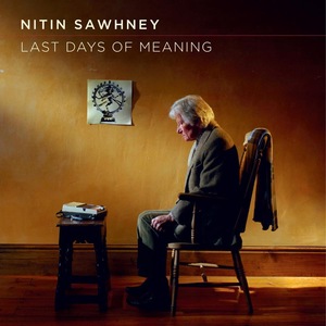 Nitin Sawhney 10