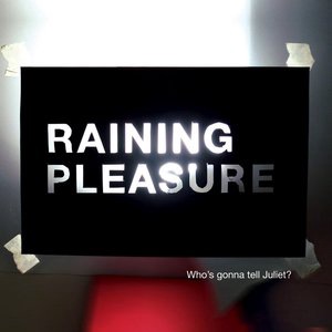 Raining Pleasure 3