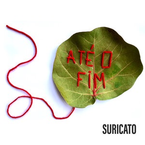 Suricato 6