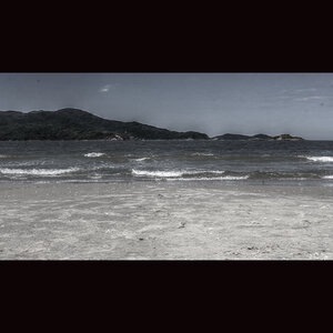 Gabrielle Philippi 1