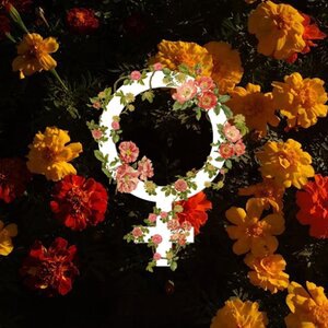 Qué Nos Vas a Dejar?