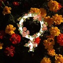 Llamado a Mi Tranquilidad