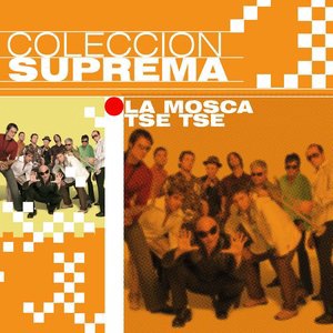 Todos Tenemos Un Amor