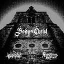 We Are the Body of Christ