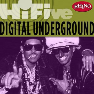 Digital Underground 2