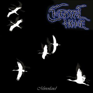 Dreaming Beneath The Rain