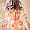 A Terra Firme É Lá