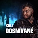 Dosnívané